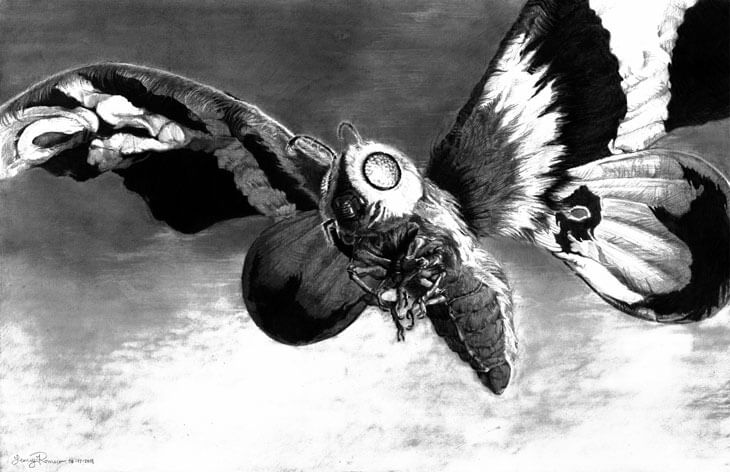 Mothra